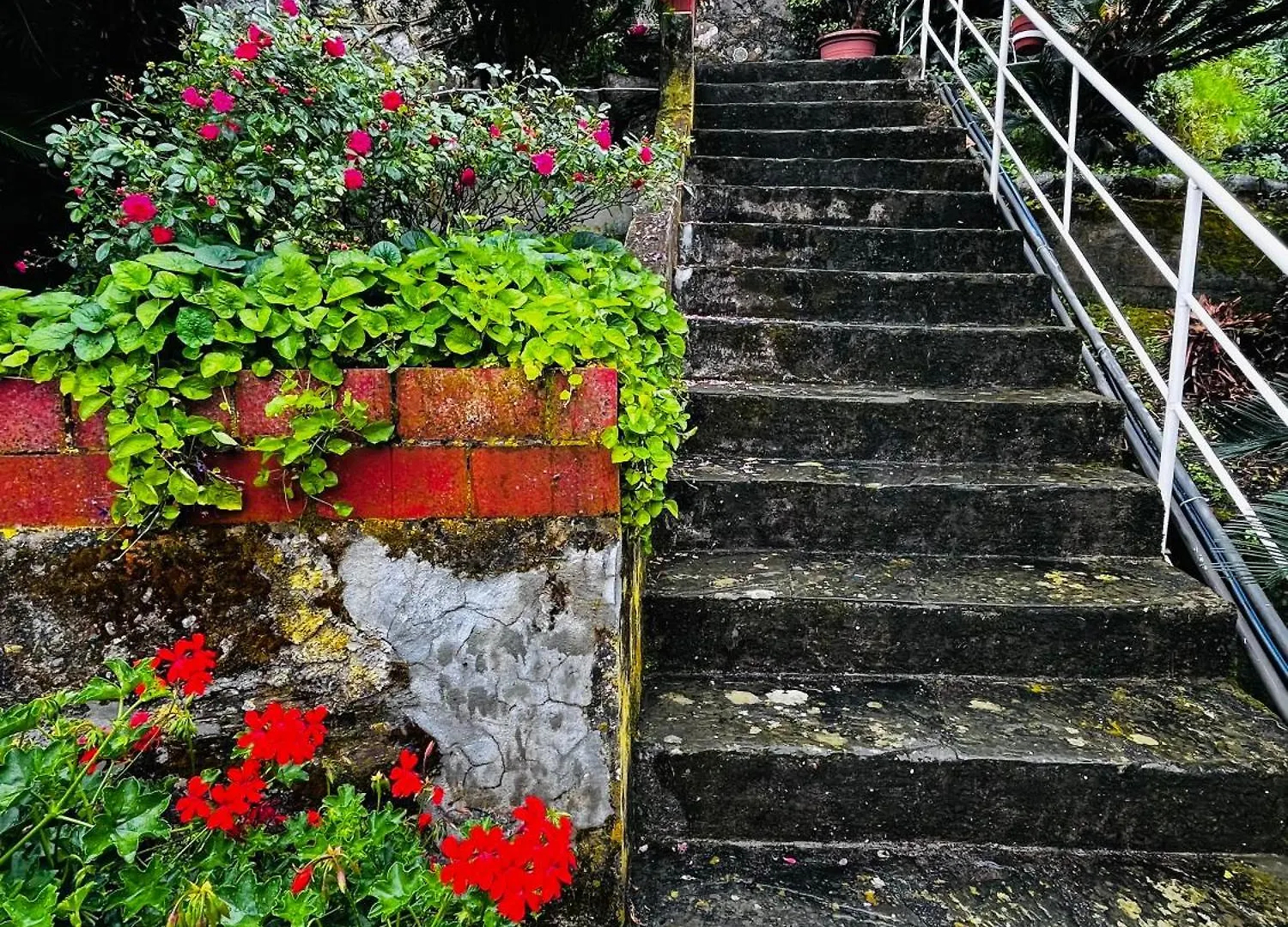 La Casa Di Nina Apartment Sestri Levante